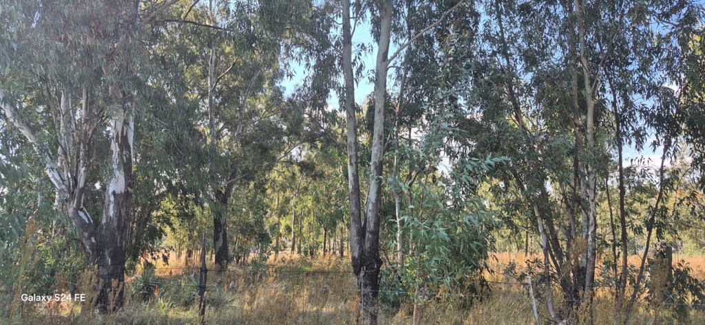 Farm For Sale in Midvaal, Midvaal